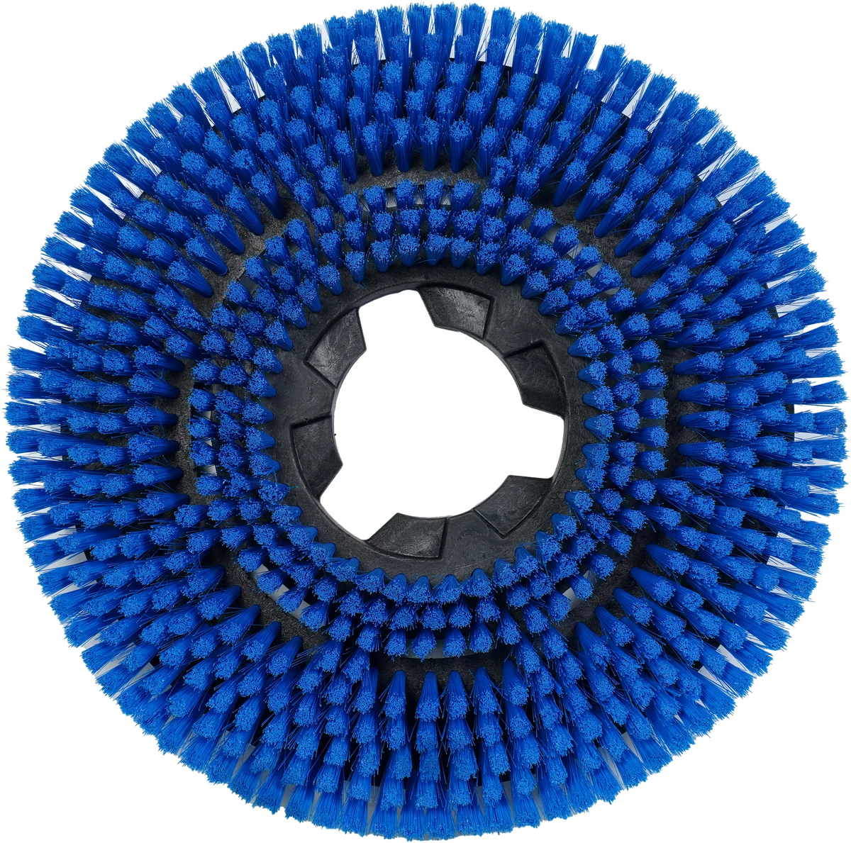 Carpet shampooing brush disc for the DIMA DS-43